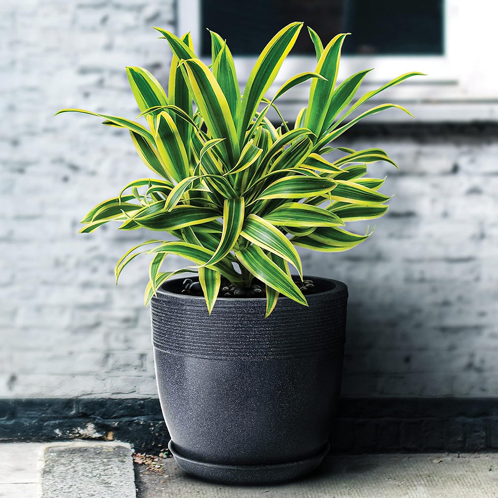 Garden's Need — Set of 4 Roto Moulded Flower Pots with Trays (10-17 inch / 25-43 cm)