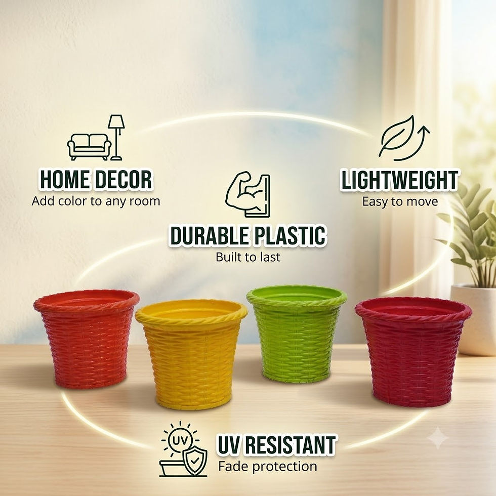 Garden's Need — Shining Pot 8 inch (20 cm) Mix Fresh Set of 4 - Premium Decorative Plant Pots