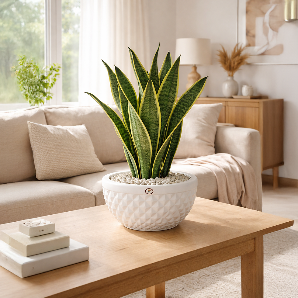 Garden's Need — 12 inch (30 cm) Holden Round Planter UV Resistant, Lightweight White Pot (Indoor/Outdoor)