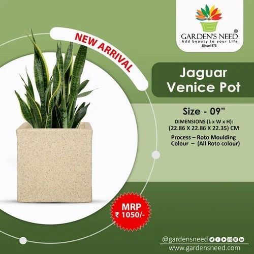 Garden's Need — Jaguar venice pot — 9 inch