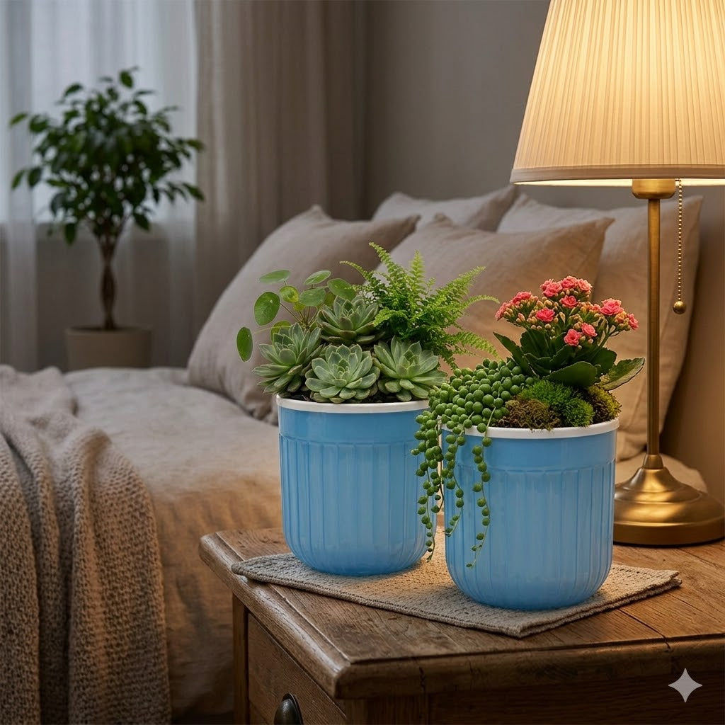 Garden's Need — Seoul 6 inch (15 cm) Transparent Self-Watering Pots with White Inserts (Set of 2)