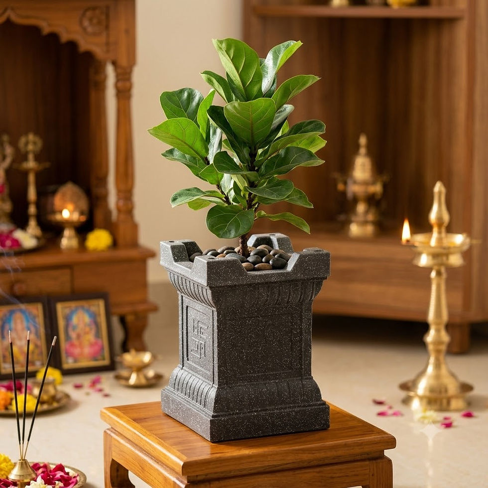 Garden's Need — 15 inch (38 cm) Jaguar White Marble Tulsi Pot for Your Sacred Space