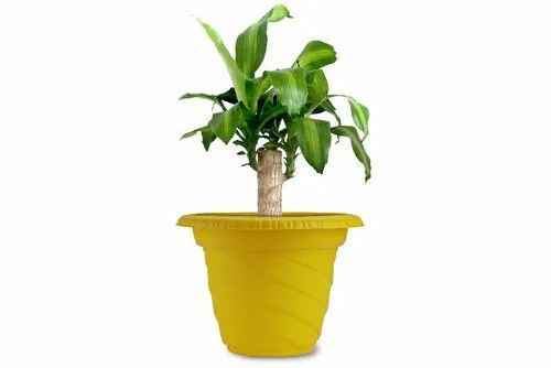 Garden's Need — Twister Pot- 04 No. 10" Fresh — 25.4 cm (10 inch)