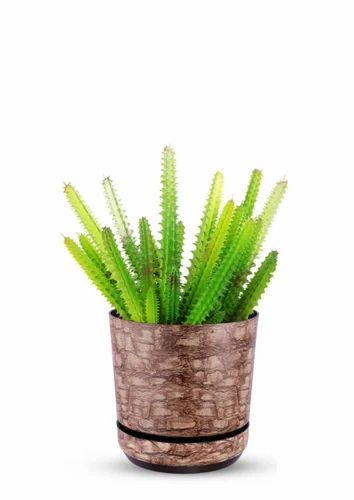 Garden's Need — 5 Inch Round Planter