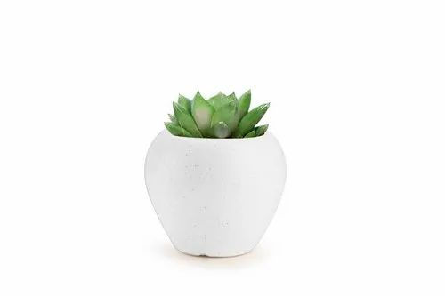 Garden's Need — Apple Pot-06" — 15.54 cm (06 INCH)