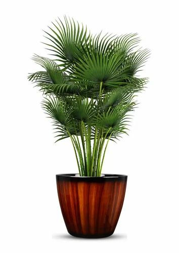 Garden's Need — Frp Flower Pot