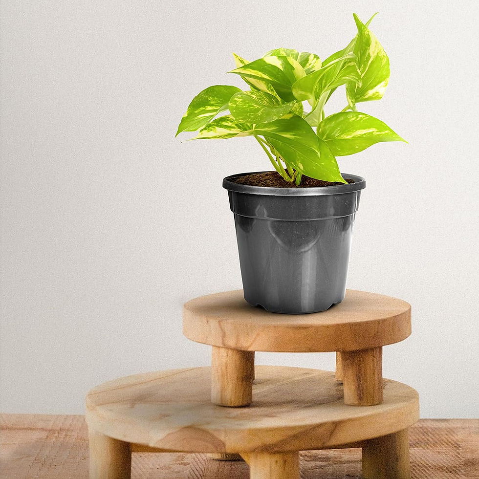 Garden's Need — 5.5 inch (14 cm) Nursery Planter UV Resistant, Lightweight Black Pots (Set of 20)