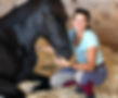 HORSE VALUATION_edited.jpg