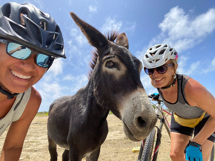 2 WOMEN BIKERS TAKING SELFIE WITH DONKEY