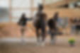 PPH USA Mel Montagano Certified Equine Appraisals