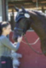 PPH USA Melanie Montagano Horse Appraisal