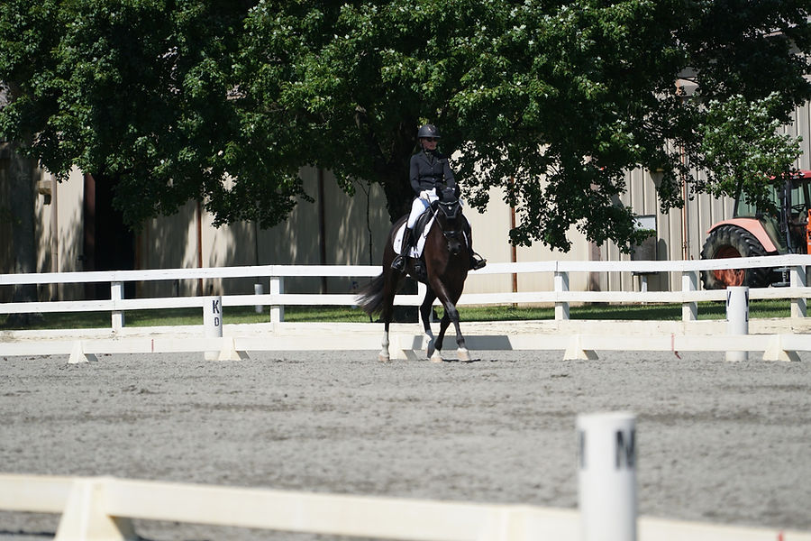 Dressage Show Syd & Oliver SHOWING 3RD LEVEL