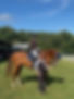 Imported dressage horse