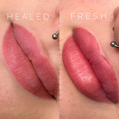 Healed lip blush tattoo done by master cosmetic tattoo artist in Portland, Oregon.
