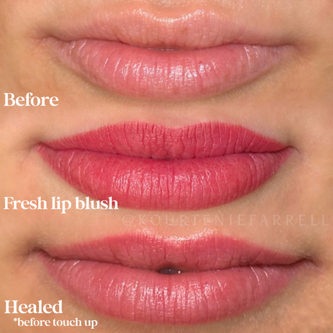 healed lip blush tattoo by Kourtenie in Portland Oregon. Previously at Daela.