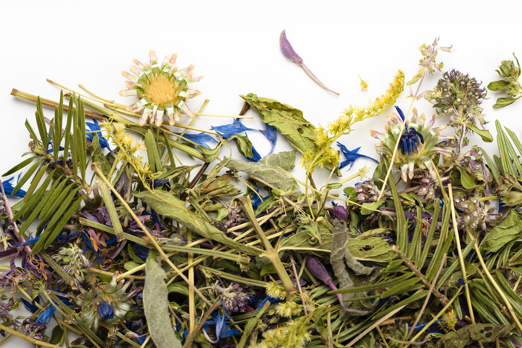 La Protectrice