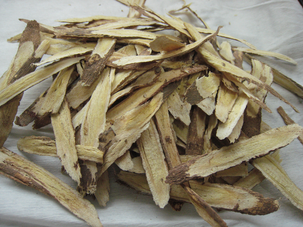 Astragale bio- Racine