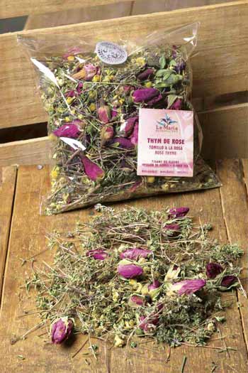 Thym de rose
