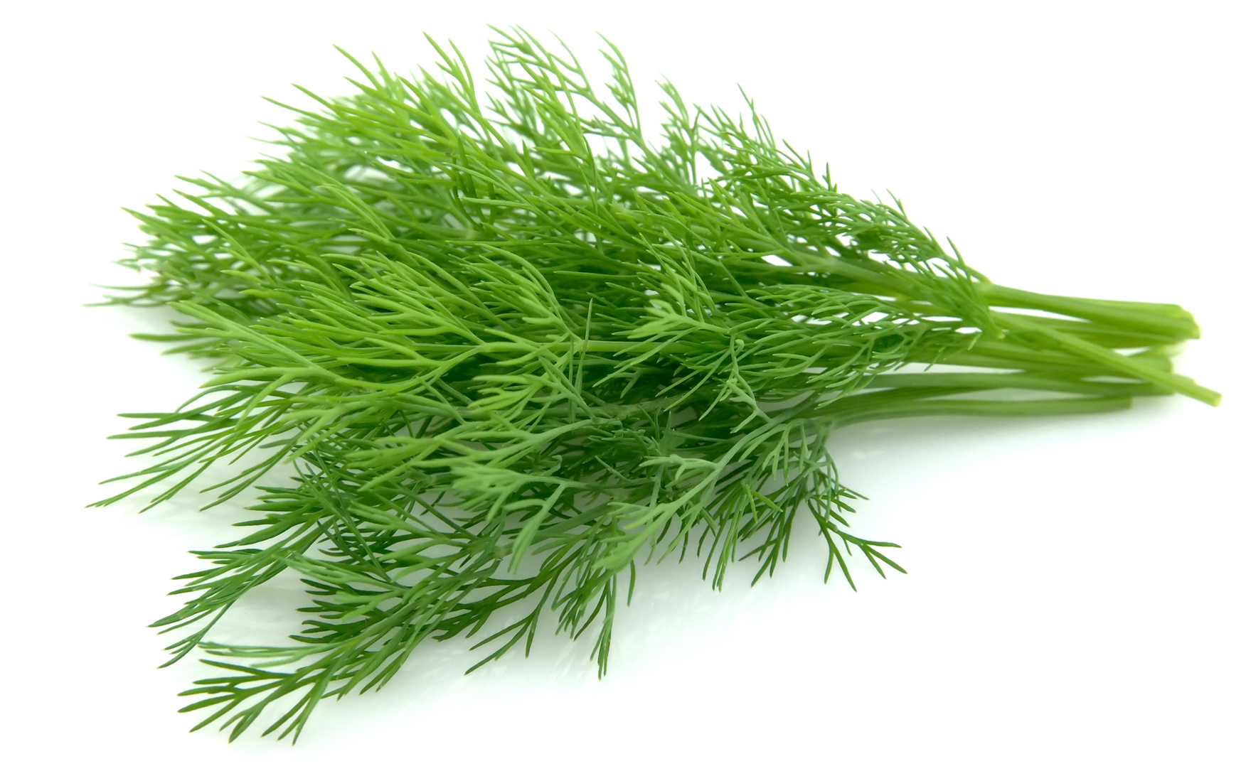 Aneth bio séché