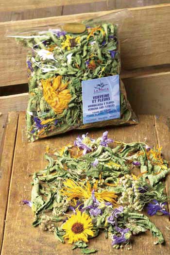 Verveine et fleurs