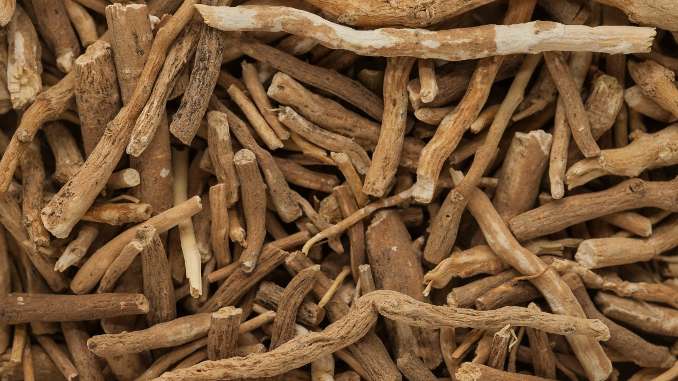 Ashwaganda bio -Racine