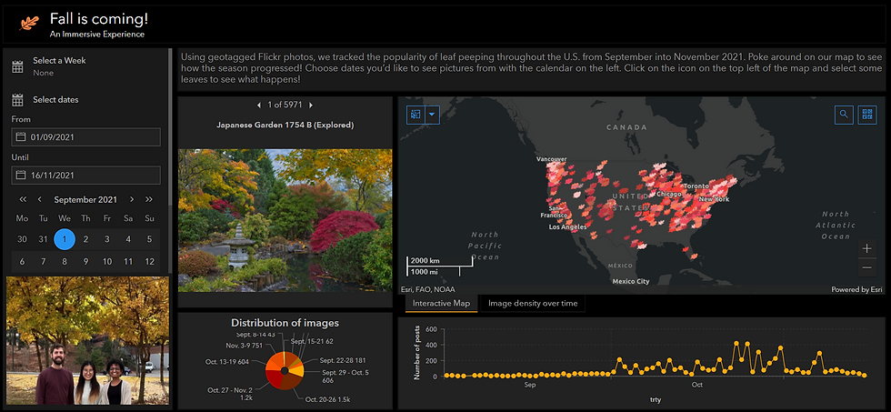 Fall Foliage Interactive Dashboard