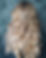NBR-Balayage-Blonde.jpg