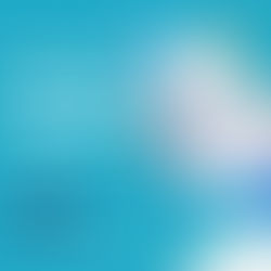 Northern Mariana Islands Marriage Certificate Apostille Process