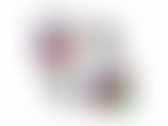 FBI Background Check Apostille for Namibia