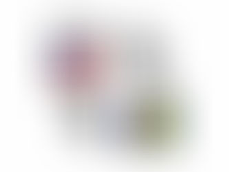 FBI Background Check Apostille for Saint Vincent and the Grenadines