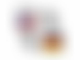 FBI Background Check Apostille for Germany