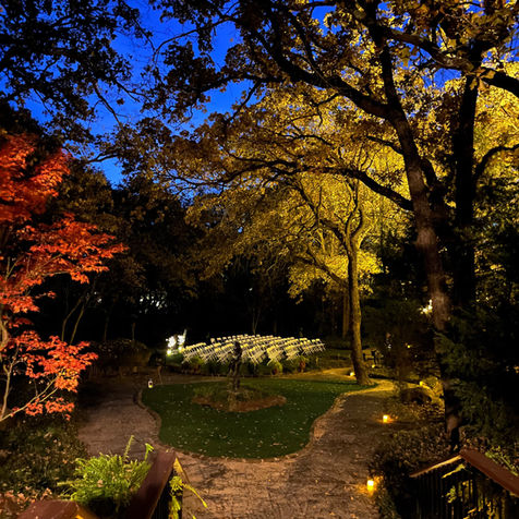 outdoor garden wedding fort worth dfw enchanted forest beautiful lighting flowers spring fall