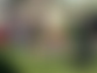 Blessing of the Animals - 10/07/23