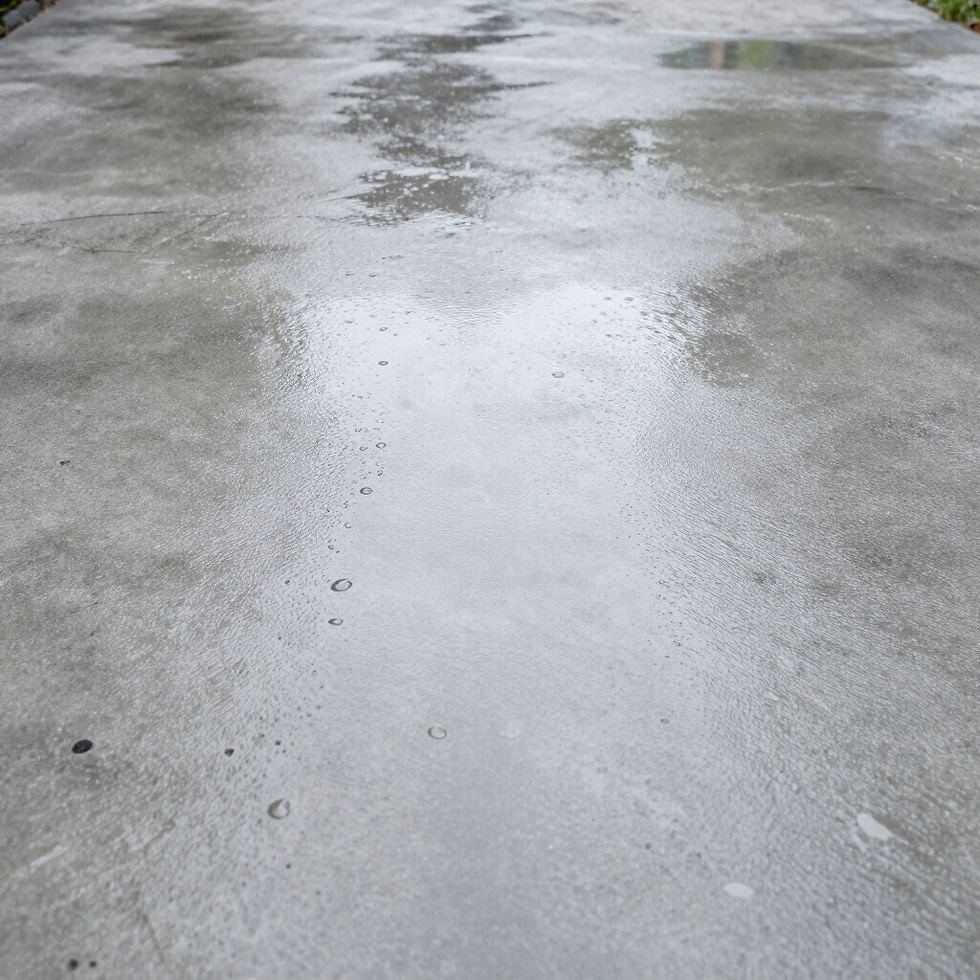 Professional driveway pressure washing service