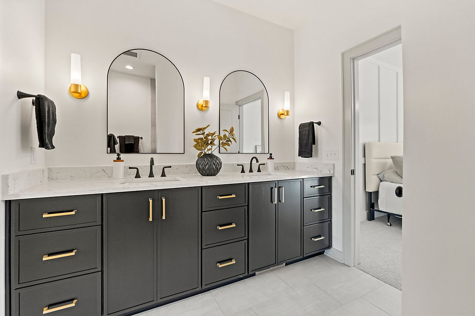 WED balck paint bathroom