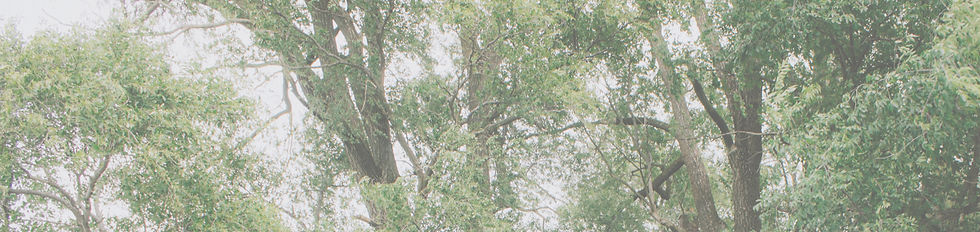 IMG_9718_edited_edited_edited_edited.jpg