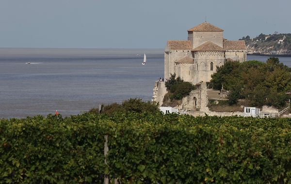 Photo Hauts de Talmont 1.jpg