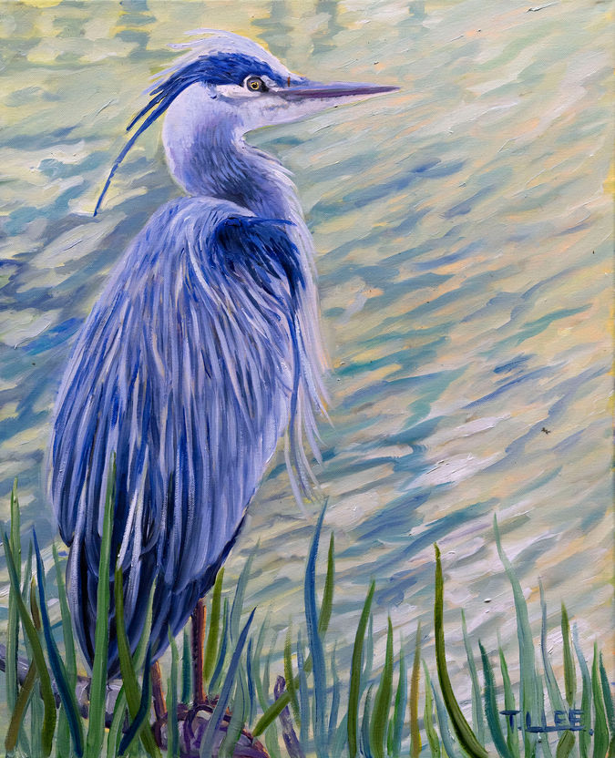 Great Blue Heron sm.jpg