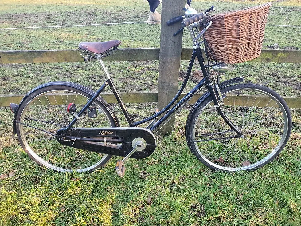Pashley Princess blk ladies bicycle with front wicker basket