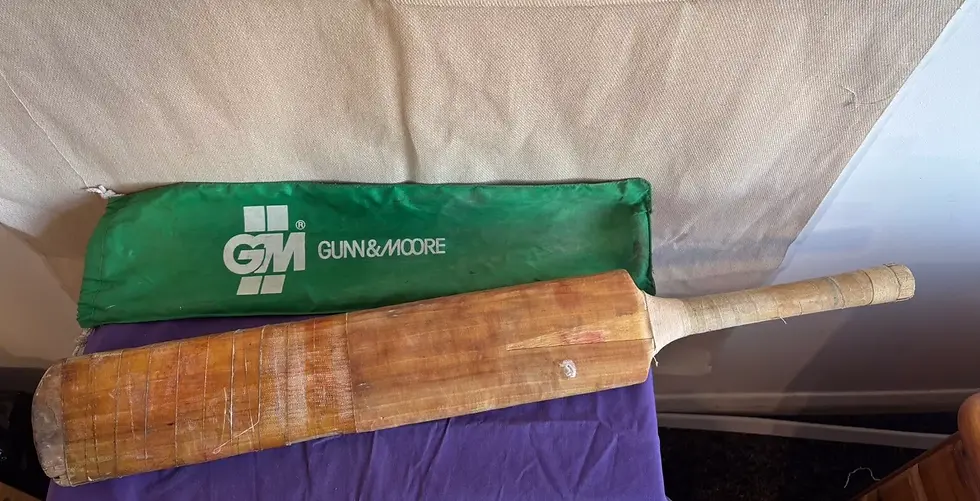 Gunn and Moore cricket bat