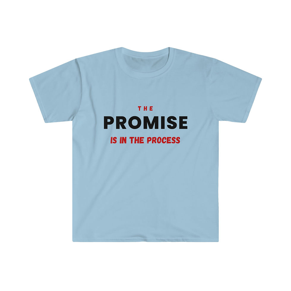 Thumbnail: THE PROMISE IS IN THE PROCESS 