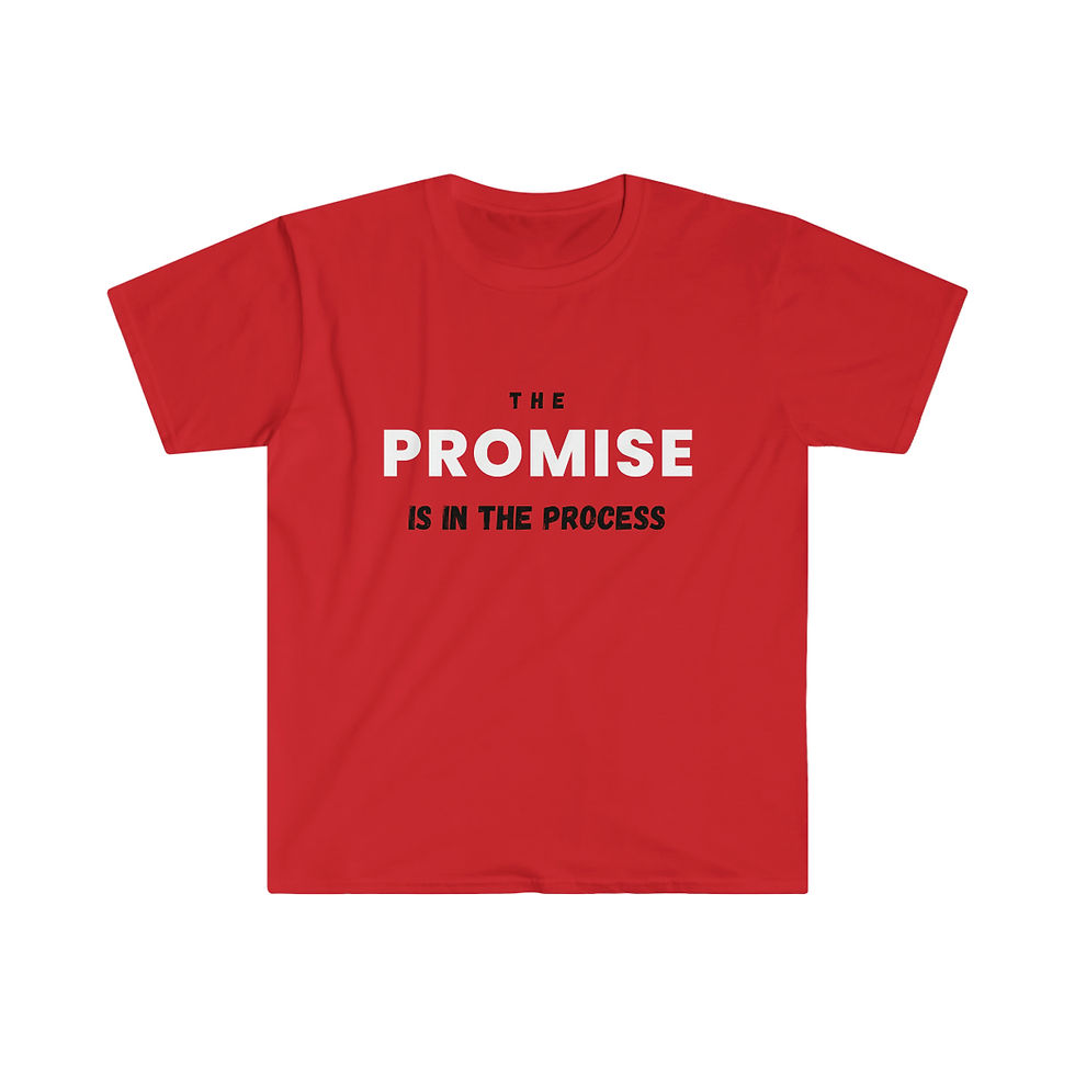 Thumbnail: THE PROMISE IS IN THE PROCESS 