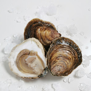 Huîtres Plates