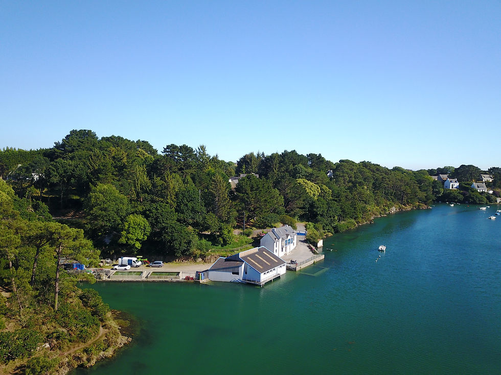 Vue aérienne de l'exploitation