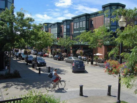 The Death and Life of Great American…Suburbs?