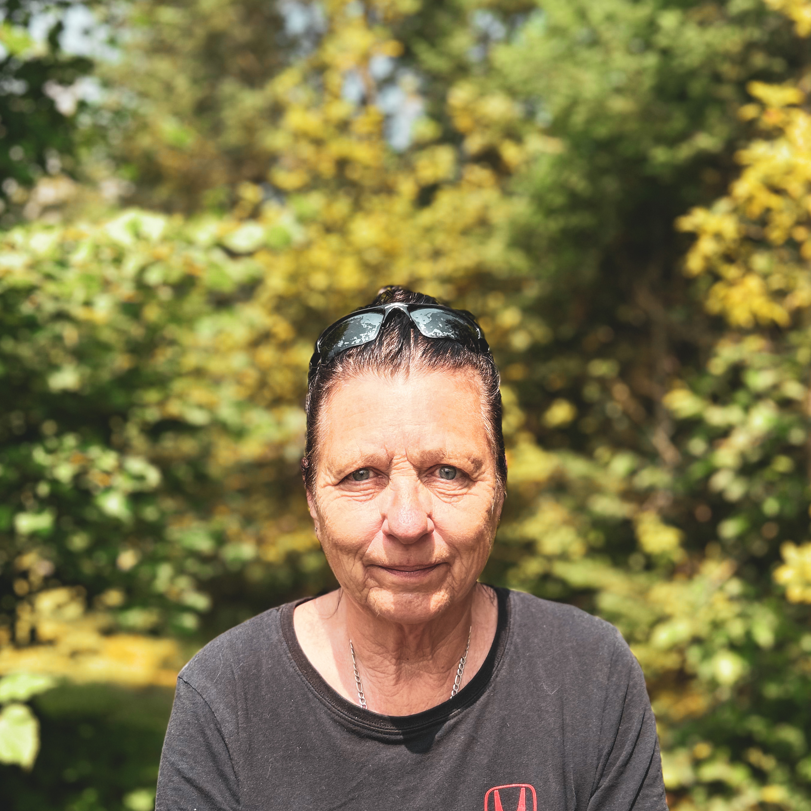 Les Sentiers Pédestres des 3 Monts