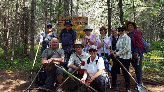 Summer_volunteers.jpg