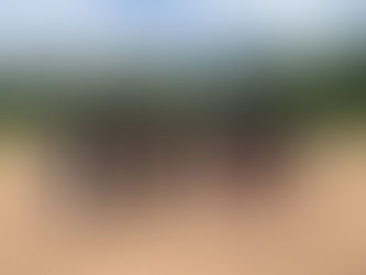 Throwback to Pride 2025 – Community, Connection, and Celebration