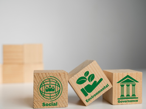 ESG Reporting & Carbon Disclosure: Why It Matters for Businesses