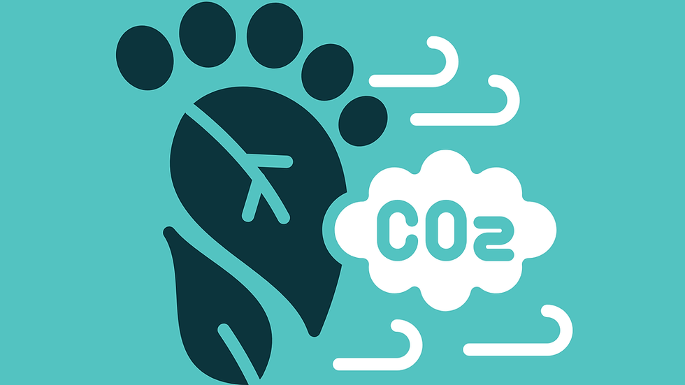 Organizational Carbon Footprint